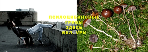 гидропоника Абаза