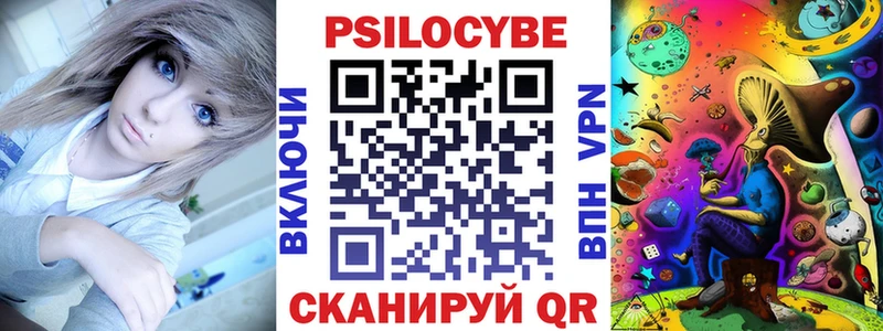 Псилоцибиновые грибы Psilocybe  купить  цена  мега вход  Приволжск 